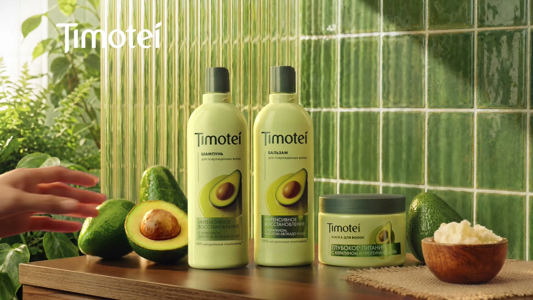 Timotei — обложка кейса