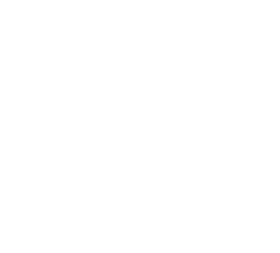 Группа «Родина»